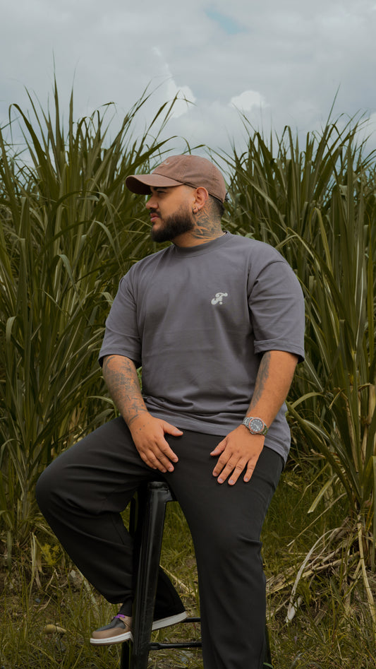 Camiseta Classic GRAY